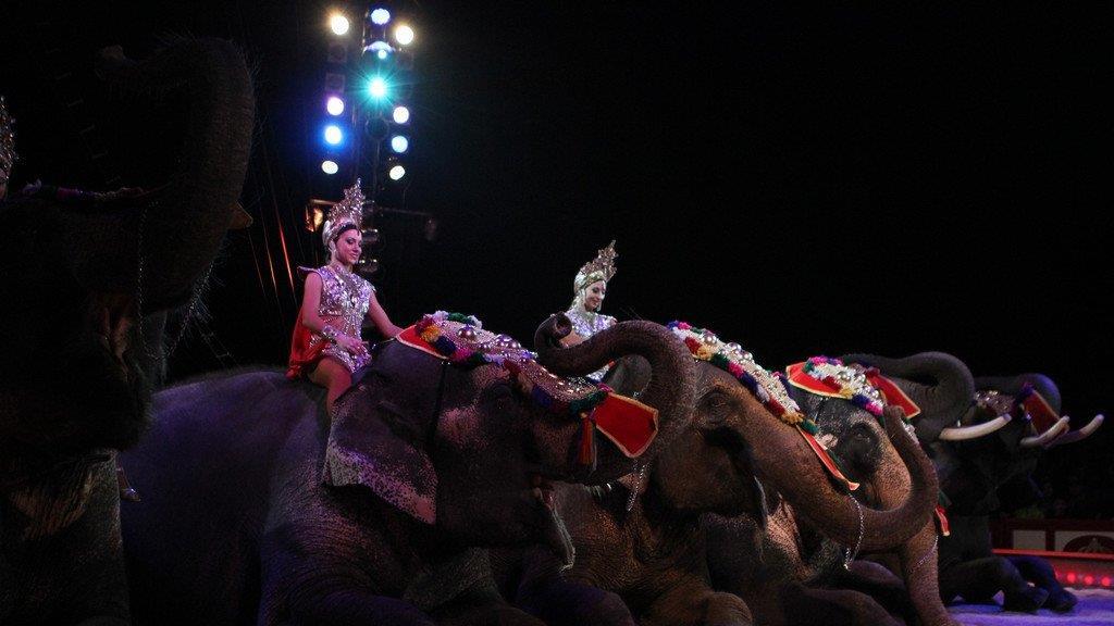 Circus Krone in Traunstein