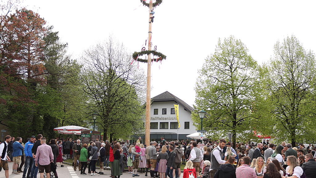Maibaumaufstellen in Anif