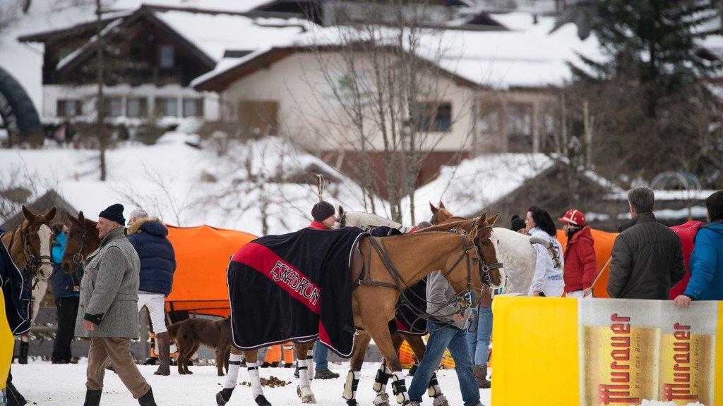 Snow Polo in Bad Gastein