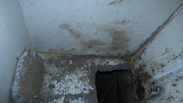 Die mexikanische Polizei sucht nach den fleißigen Tunnelbauern