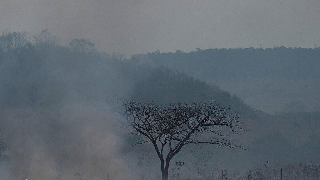 Waldbr\u00e4nde in Brasilien