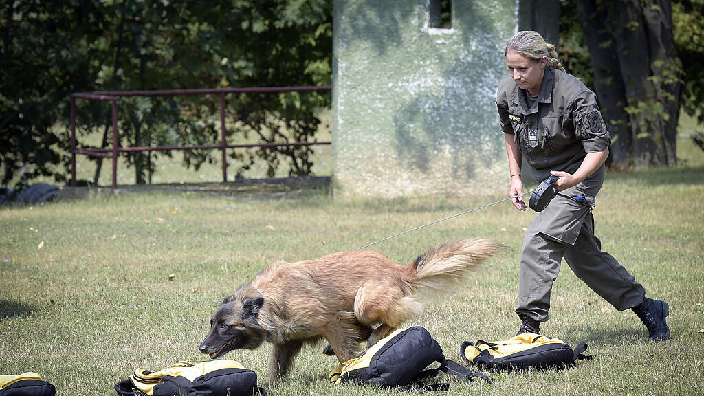 HANDOUT BUNDESHEER AUSBILDUNG COVID-19 SPÜRHUNDE =.jpg