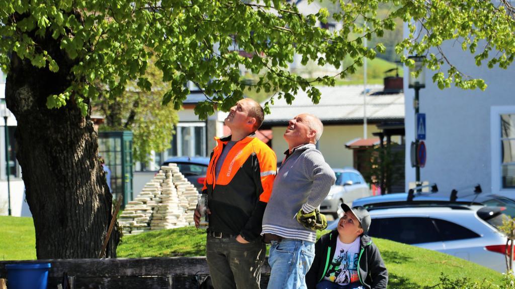 Maibaumfest St. Veit