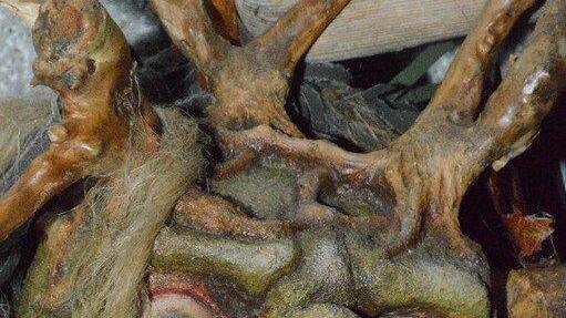Krampuslauf Lochen II