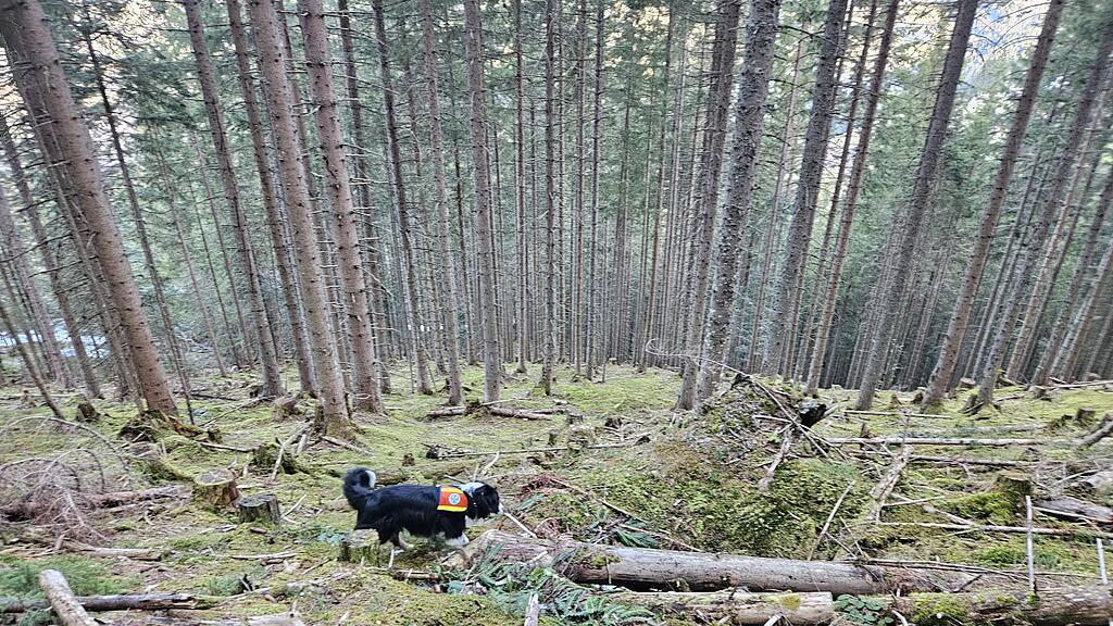 Vermisste Urlauberin in Kleinarl tot gefunden