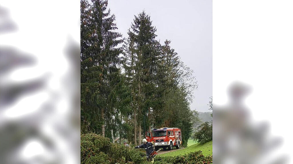 ​Bäume knicken in St. Andrä im Lungau um