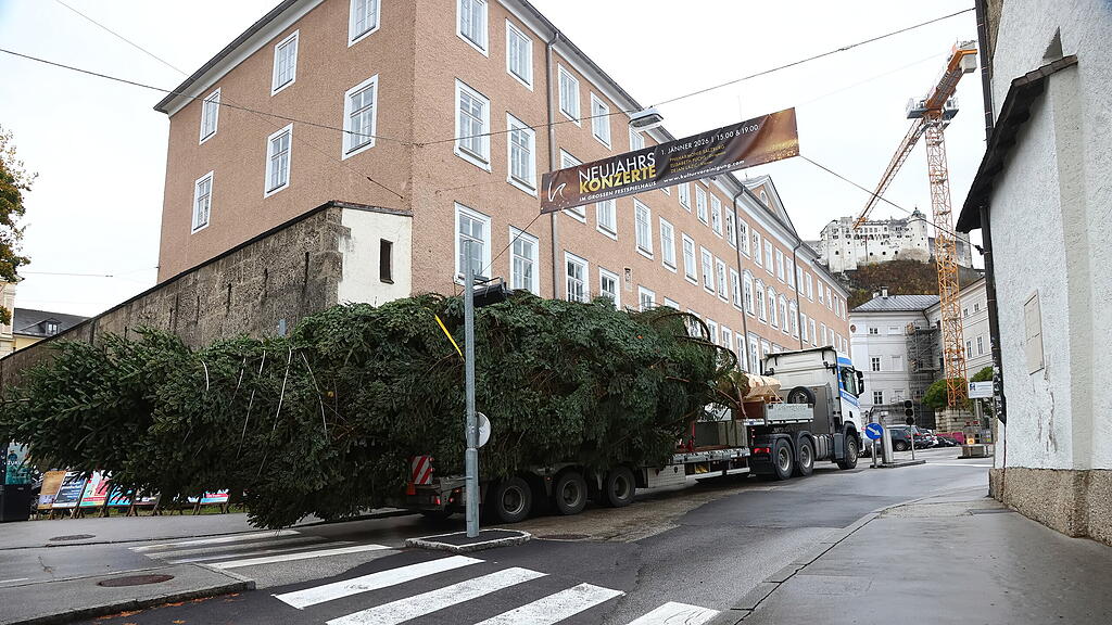 Baum am Christkindlmarkt eingetroffen II