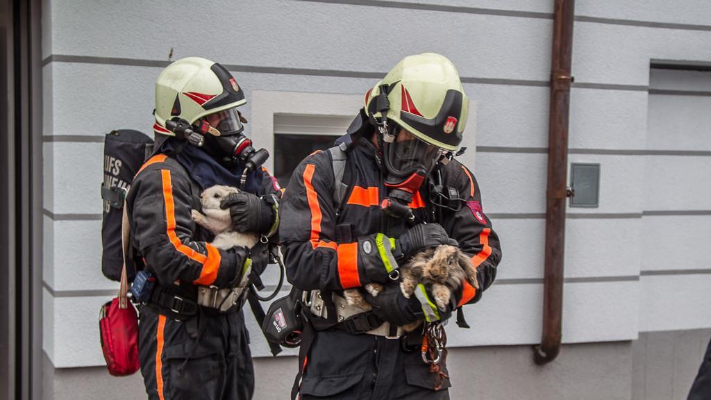Brand in der Pichlergasse fordert zwei Verletzte