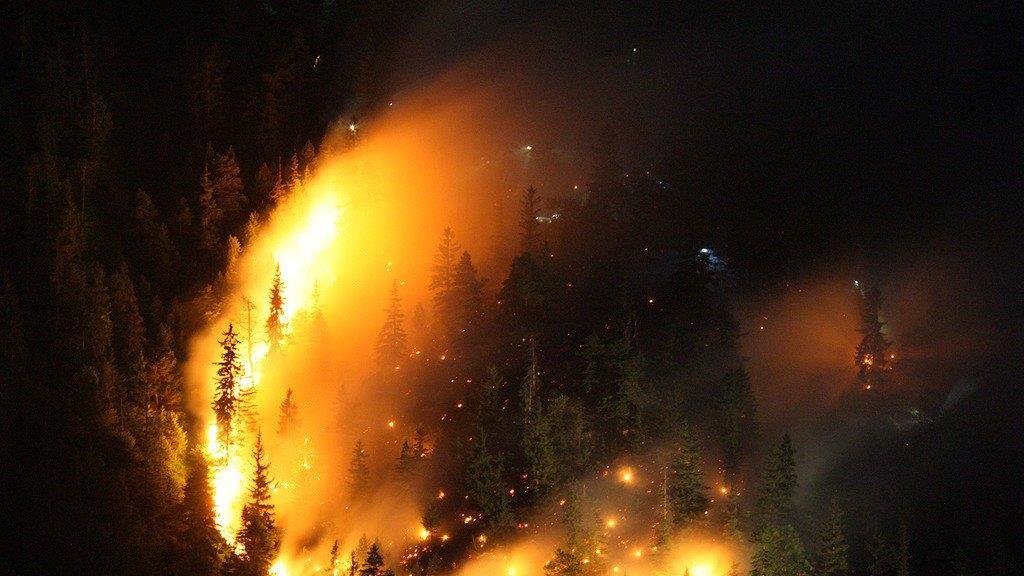 Waldbrand am Thumsee, III