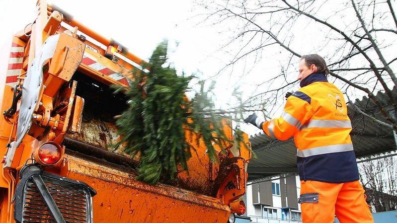 Christbaum-Entsorgung