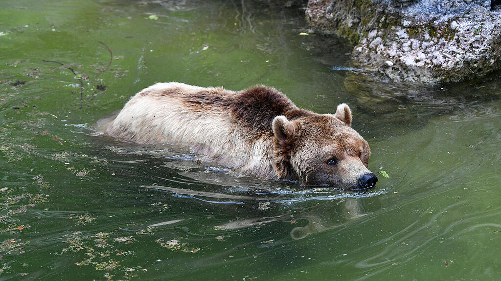 Zoo Salzburg