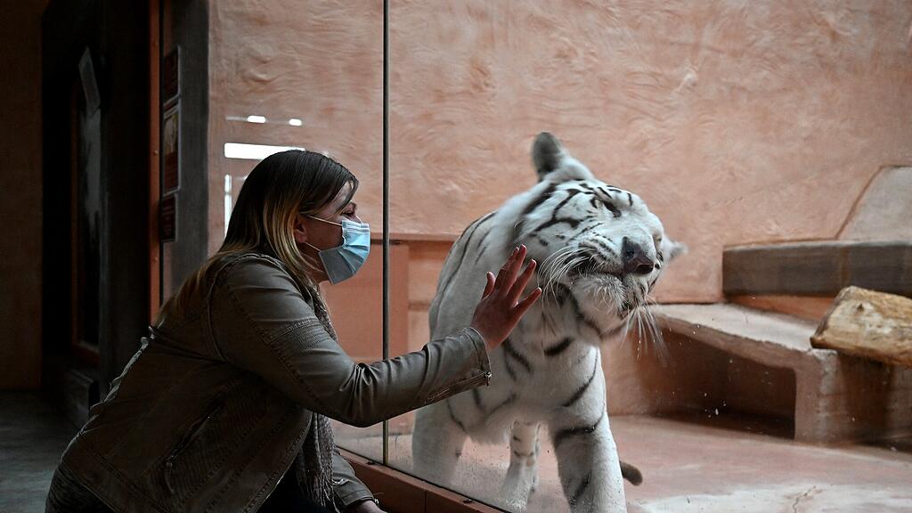 Zoo Demidiw