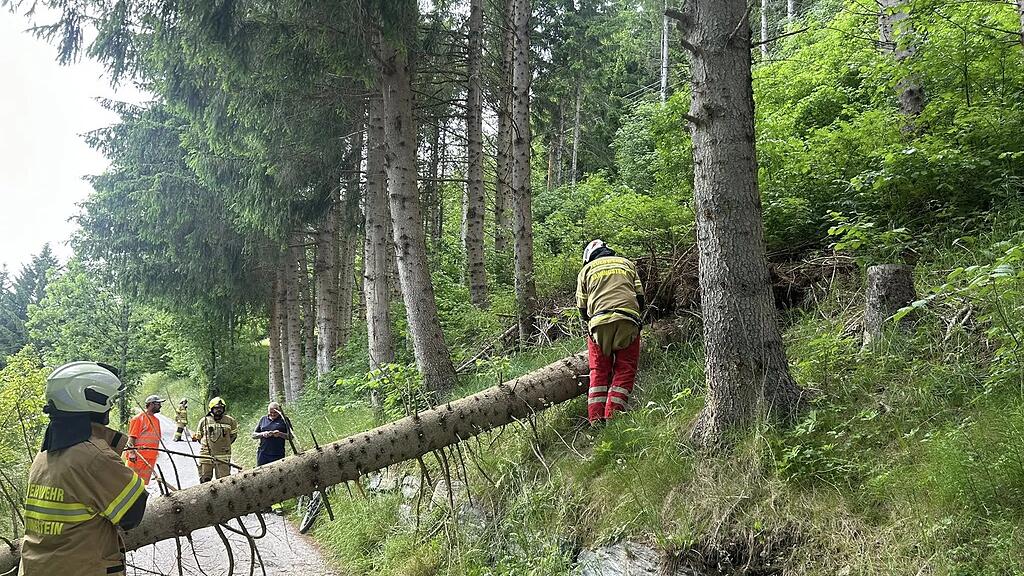 Baum stürzt in Ramingstein auf Bahngleise