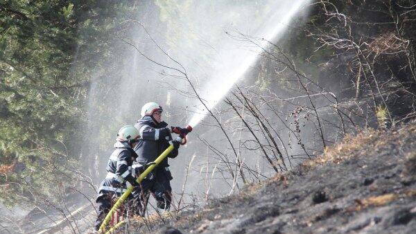 Rund ein Hektar Wald und Wiese standen in Flammen