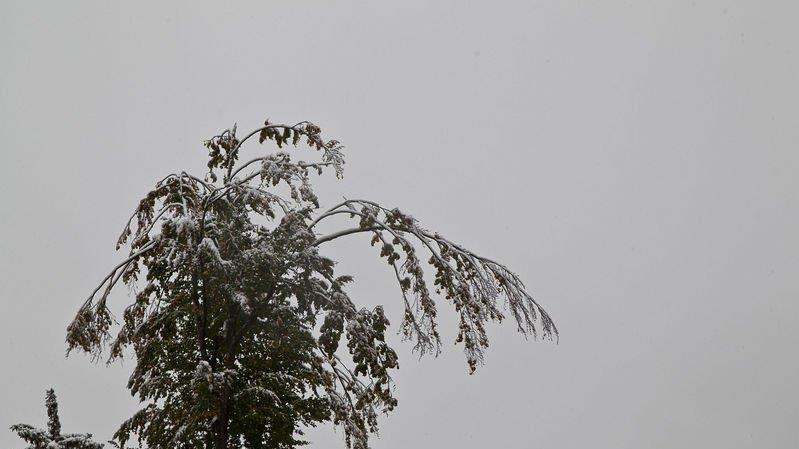 Schnee im Flachgau