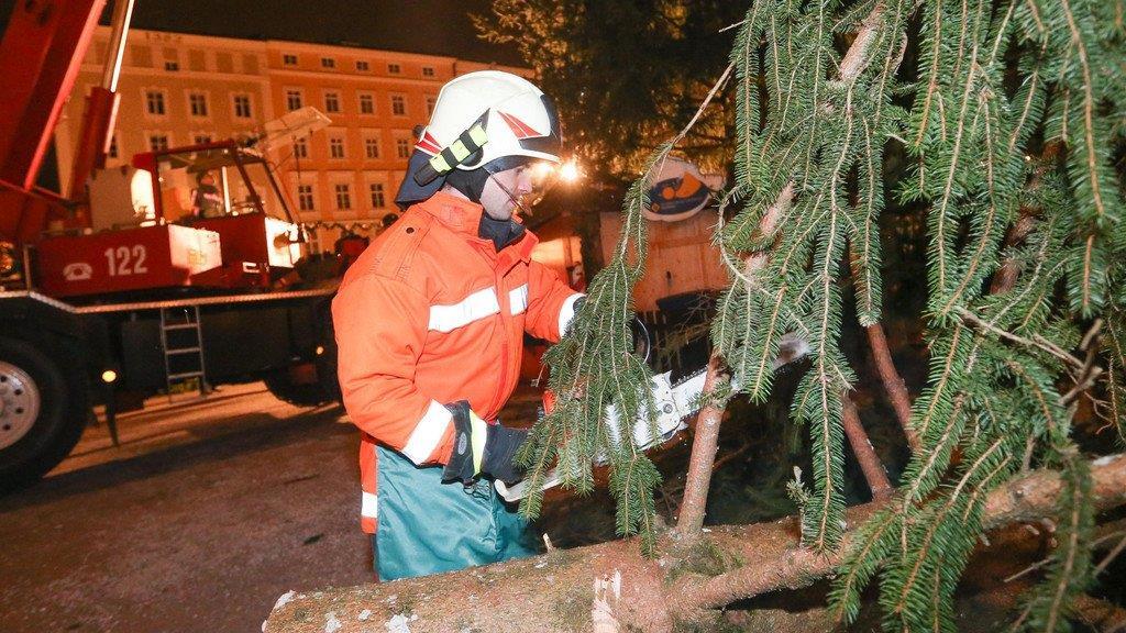 Mini-Christbaum für Christkindlmarkt