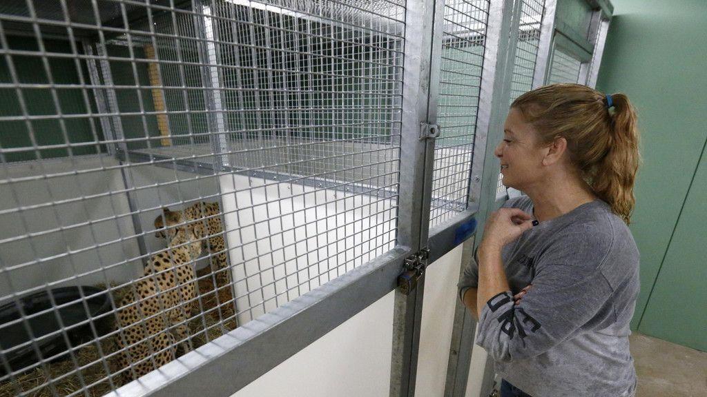 "Irma": Tiere im Zoo Miami in Sicherheit gebracht