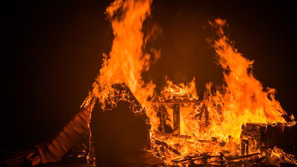 Burning Animal II