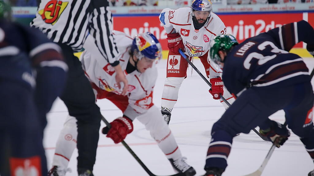 Eisbullen gegen Eisbären Berlin