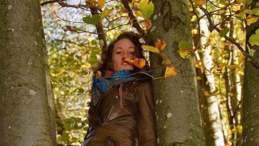 Herbst in Spital am Phyrn