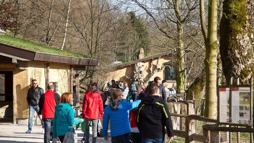 Frühlingserwachen im Salzburger Zoo