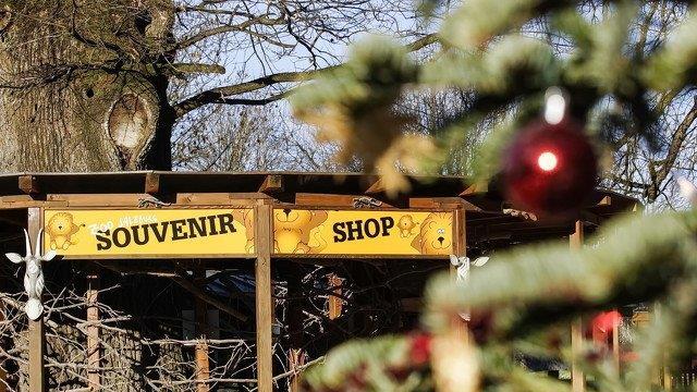 Warten aufs Christkind im Zoo