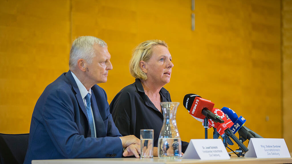 Nashorn t\u00f6tet Pflegerin im Zoo: Pressekonferenz