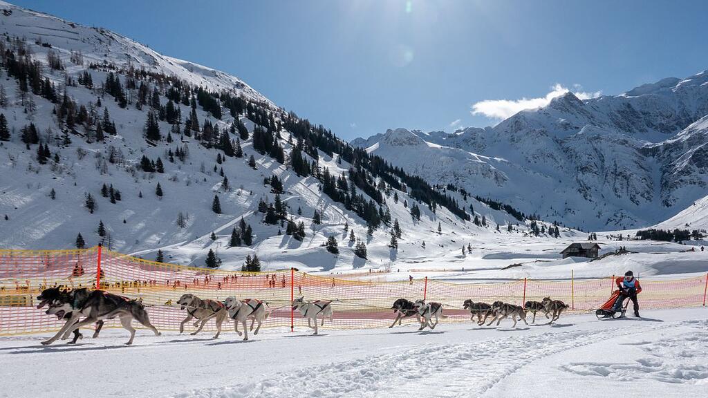 Schlittenhunde-WM in Sportgastein, Samstag