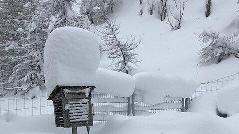 Rekord-Winter f\u00fcr Asfinag