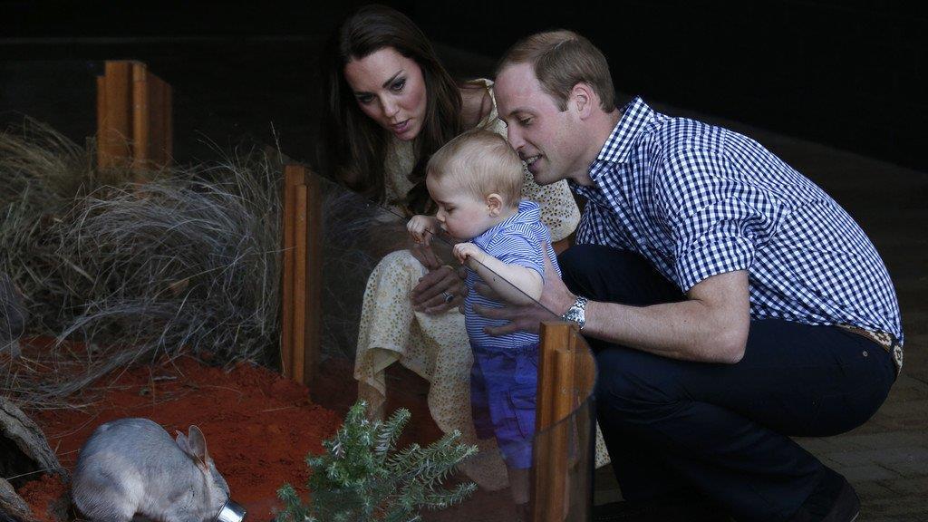 Prinz George und das Bilby: Liebe auf den ersten Blick