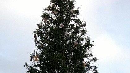 Erste Bilder des Christkindlmarkts 2013