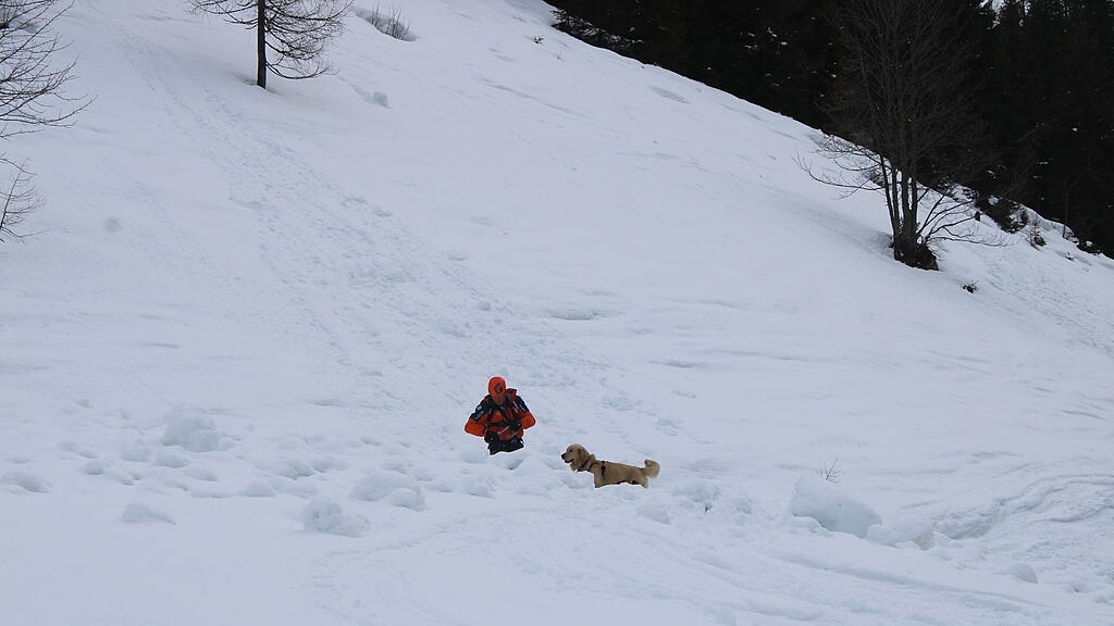 Lawinenhunde Bergrettung Training