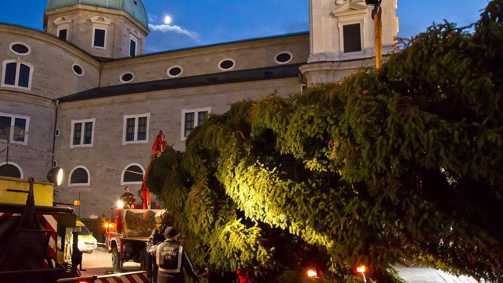 Christbaum ist angekommen
