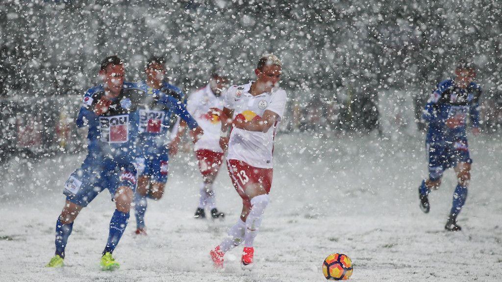 FC Liefering - Wr. Neustadt: Spielabbruch