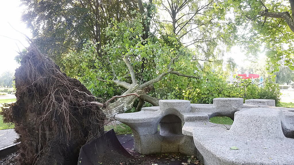 lepi unwetter schäden
