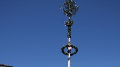 Maibaumaufstellen in Hof