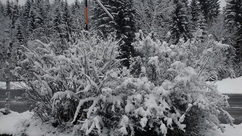 Winter in Ebenau