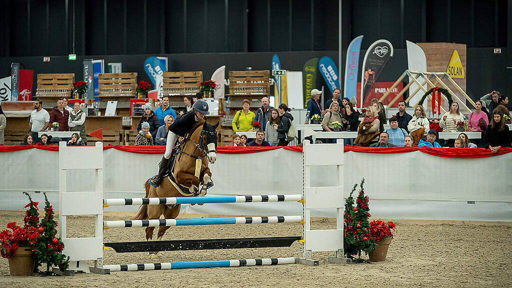 Amadeus Horse Indoors 2023