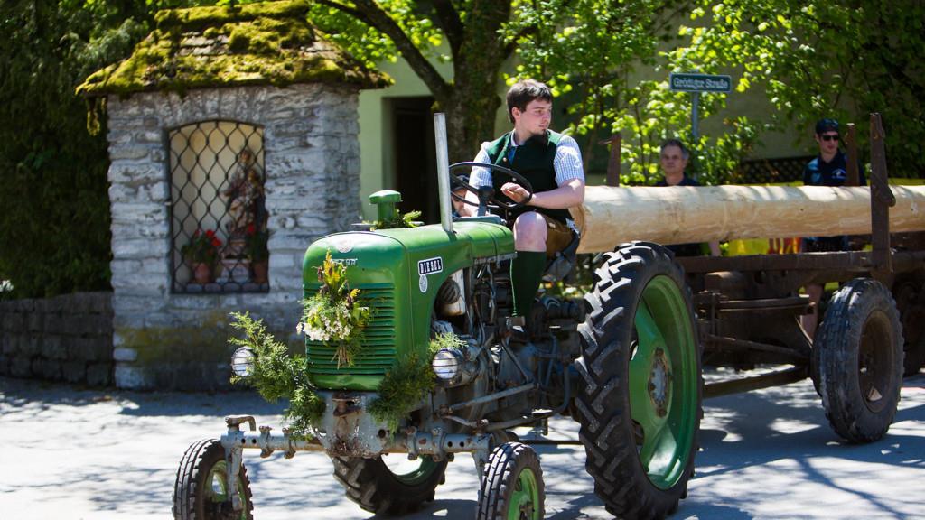 Maibaum in Anif