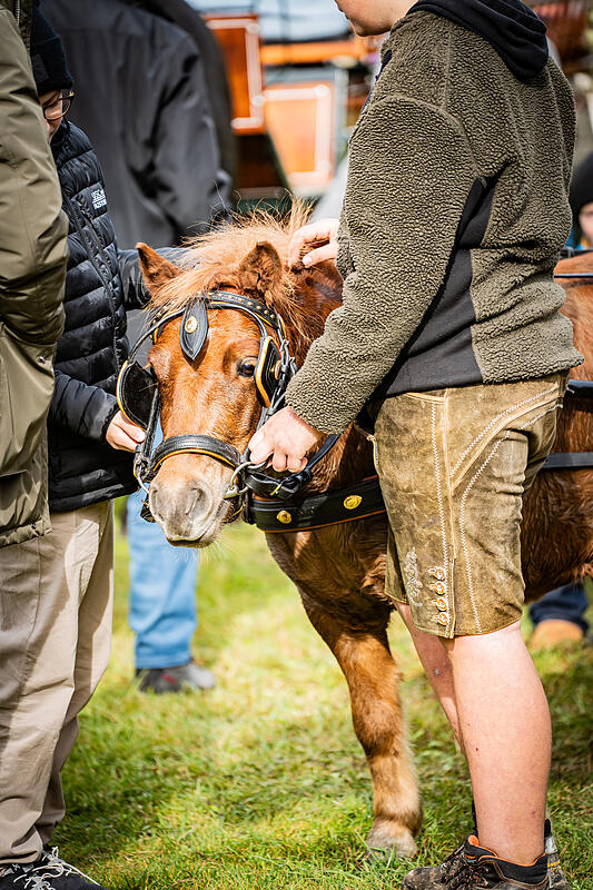 Leonhardiritt Faistenau