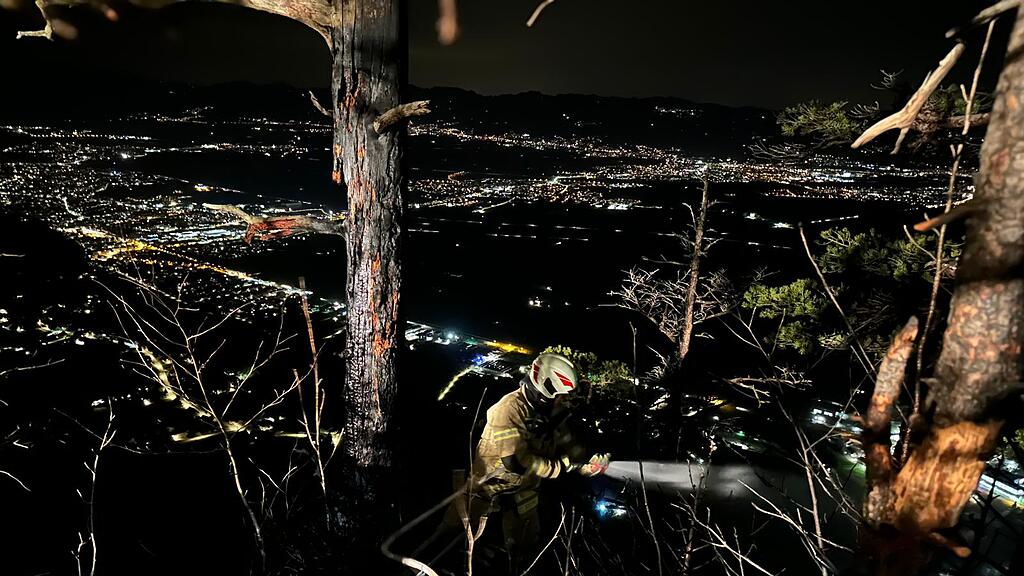 Waldbrand Hohenems