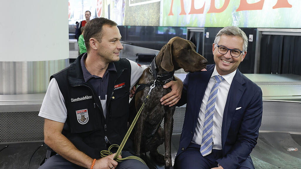 Zollhunde