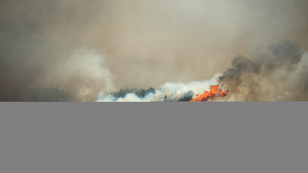 Waldbrand Gran Canaria