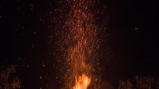 Burning Animal II
