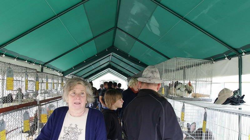 Michaelimarkt in Straßwalchen