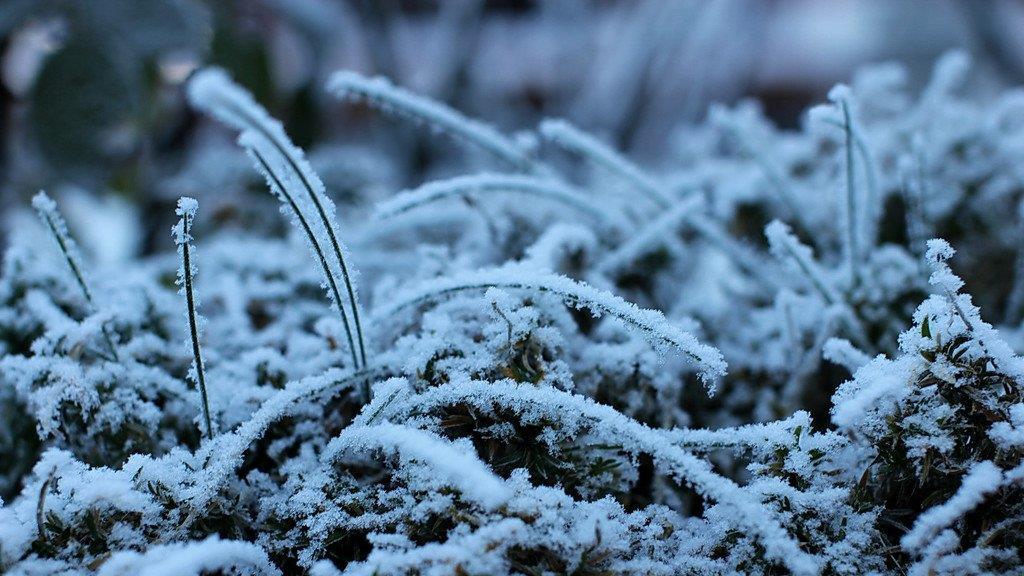 Frost am Morgen