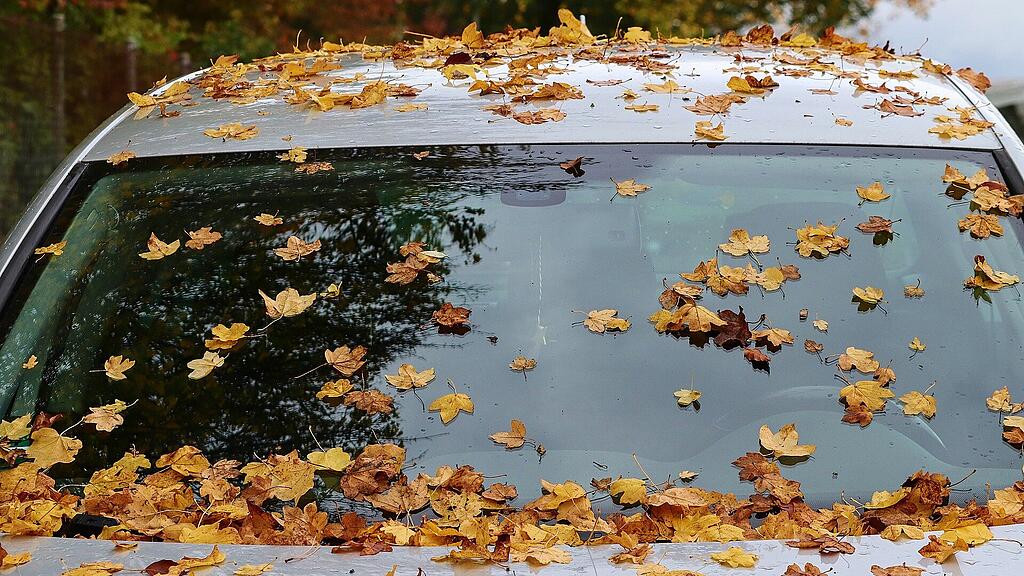 symb_auto; symb_herbst
