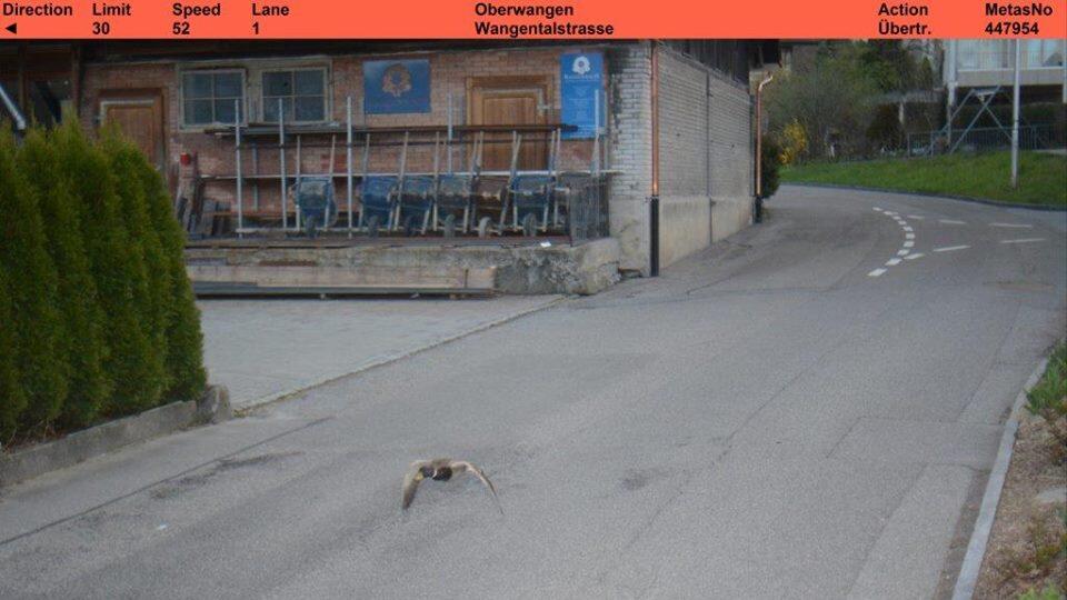 Das Blitzerfoto.