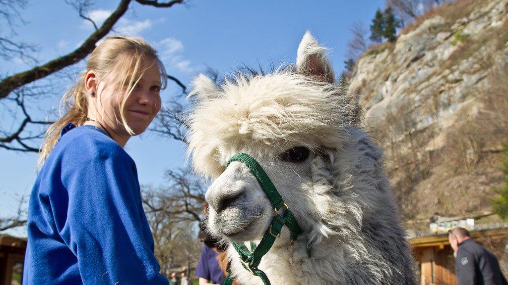 Frühlingserwachen im Salzburger Zoo