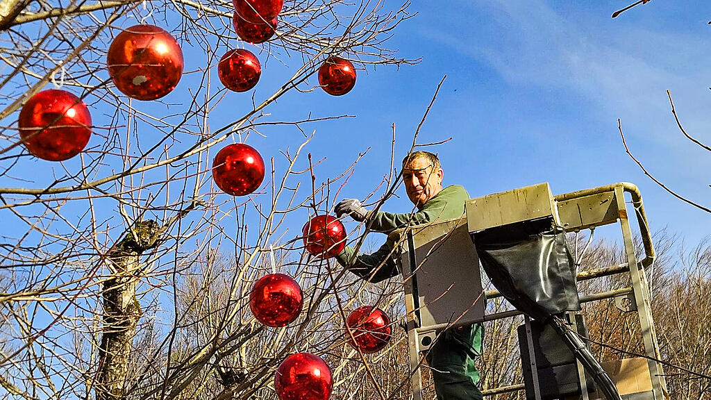 Aufbau des Plainer Christkindlmarkts in Bergheim